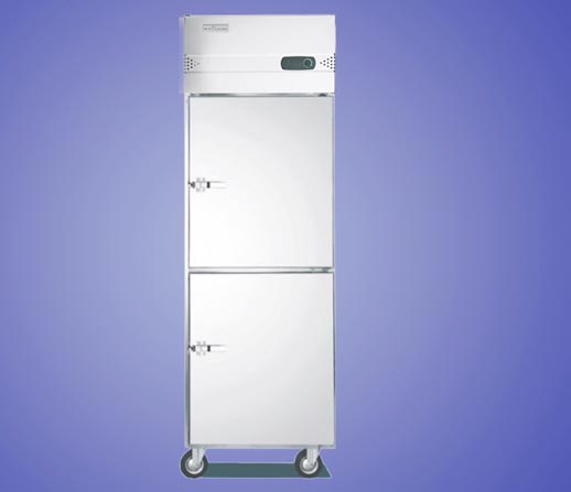 Home freezer Manufacturer